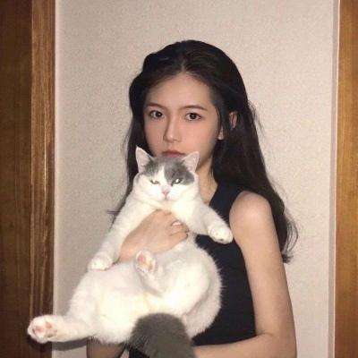 剑羽飞仙无限元宝内购版下载